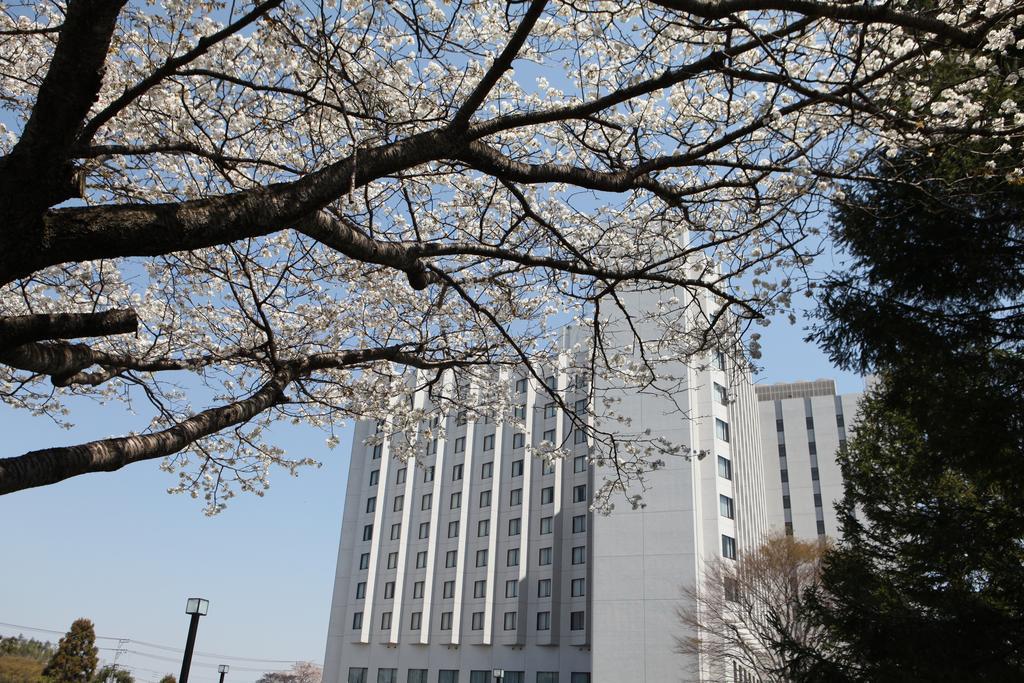 International Yurakujo Narita